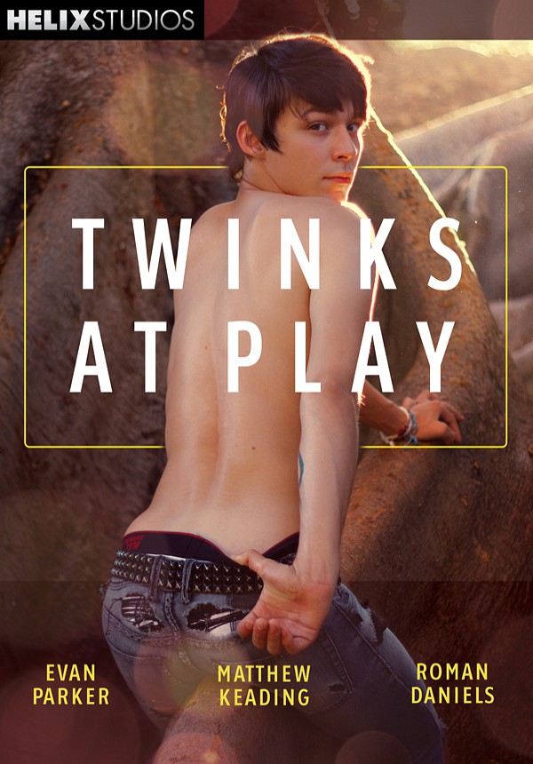 Twinks at Play Front Cover Photo